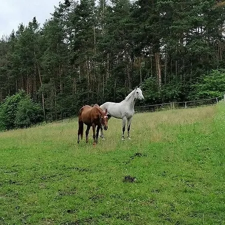 Glamping Karavan U Konopiste 캠프장 Chrastany (Benesov)