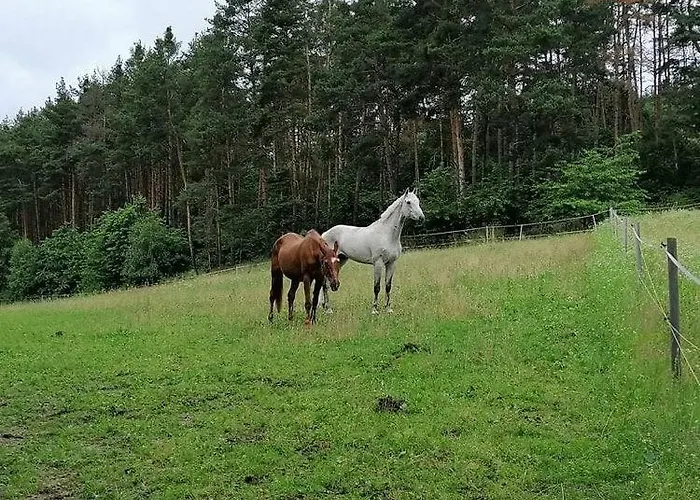 Glamping Karavan U Konopiste Campsite Chrastany (Benesov)