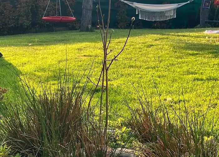 Glamping Karavan U Konopiste *