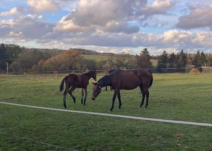 Glamping Karavan U Konopiste